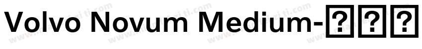 Volvo Novum Medium字体转换